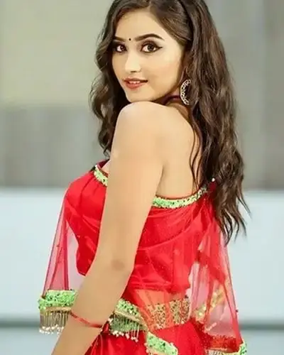 Escort In Mehatpur